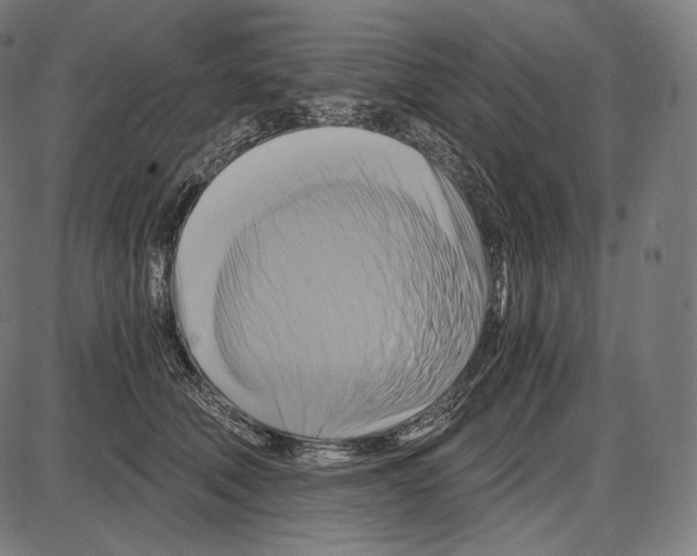 X0000084010610200703161715