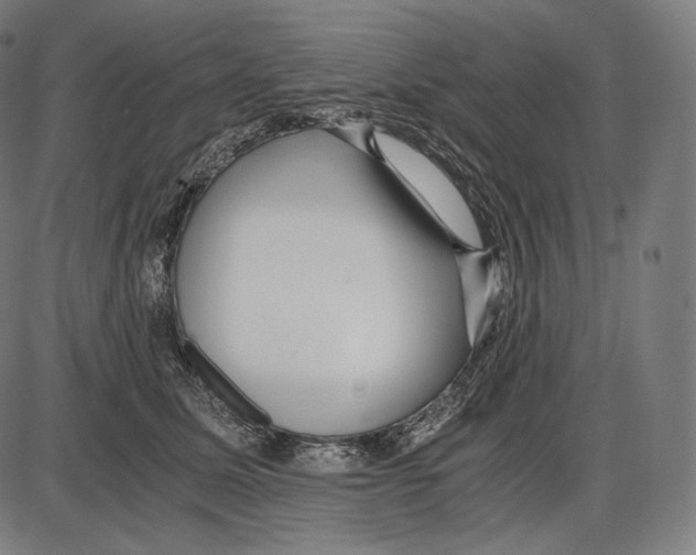 X0000084010611200703161715