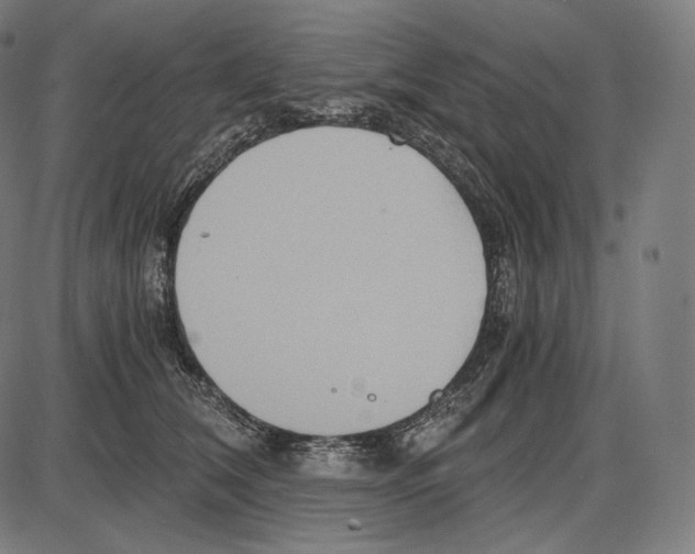 X0000084010612200703161715