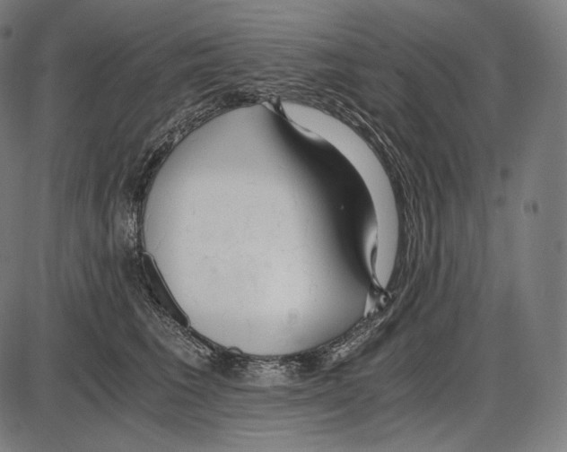 X0000084010613200703161715