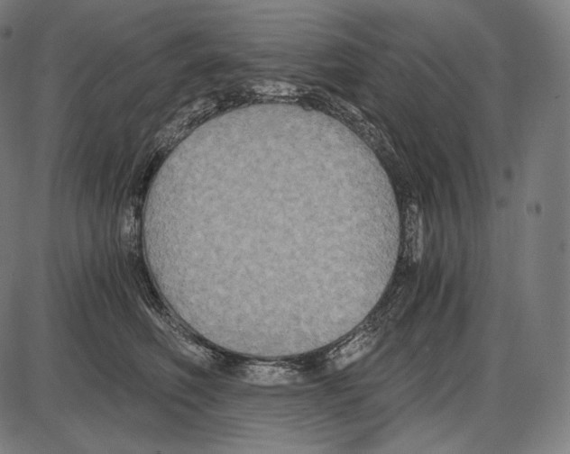 X0000084010614200703161715