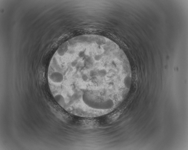 X0000084010615200703161715