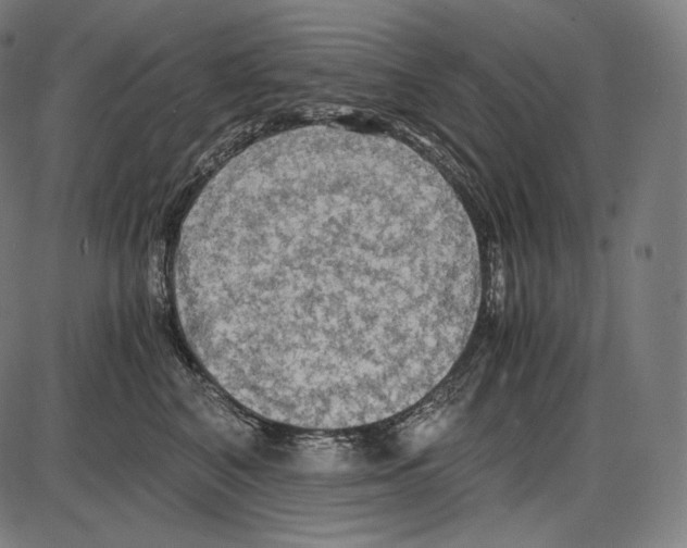 X0000084010616200703161715