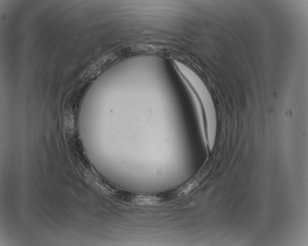 X0000084010617200703161715