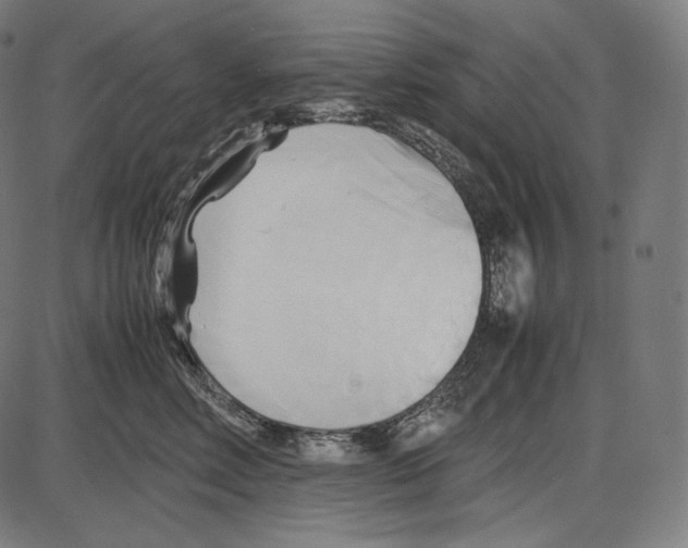 X0000084010618200703161715