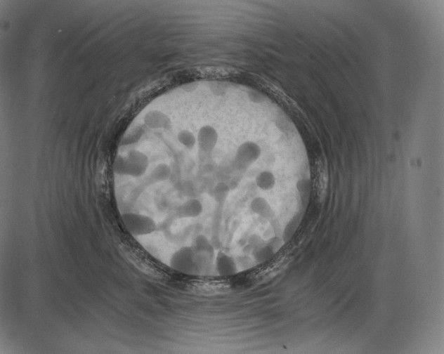 X0000084010619200703161715