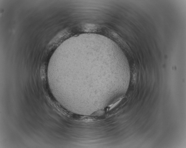 X0000084010620200703161715