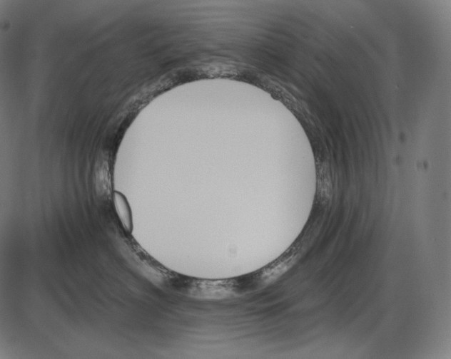 X0000084010622200703161715