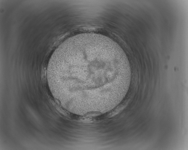 X0000084010624200703161715