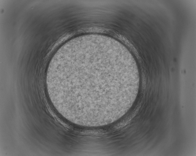 X0000084010625200703161714