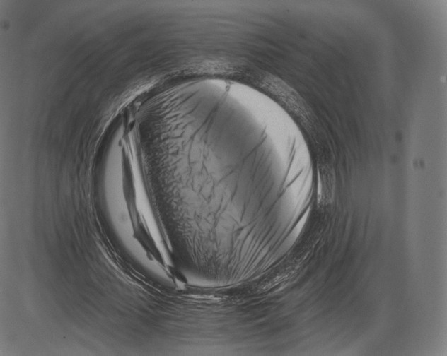 X0000084010627200703161714