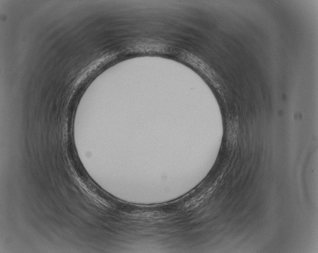 X0000084010629200703161714