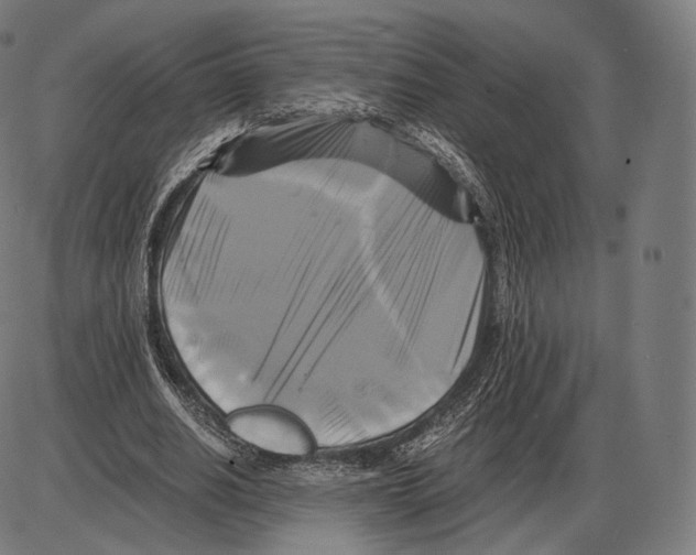 X0000084010630200703161714