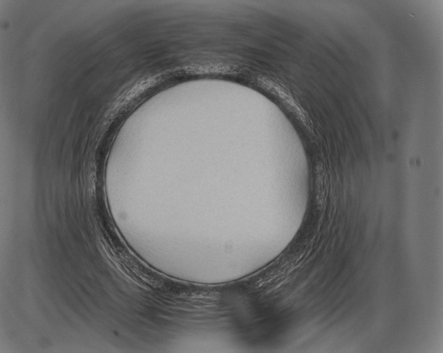 X0000084010631200703161714