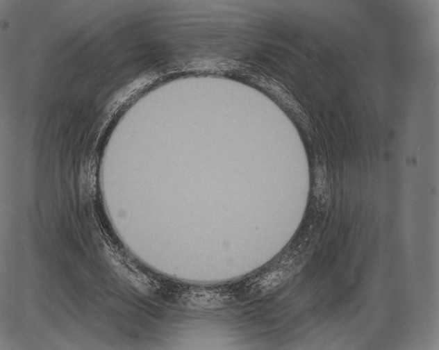 X0000084010632200703161714