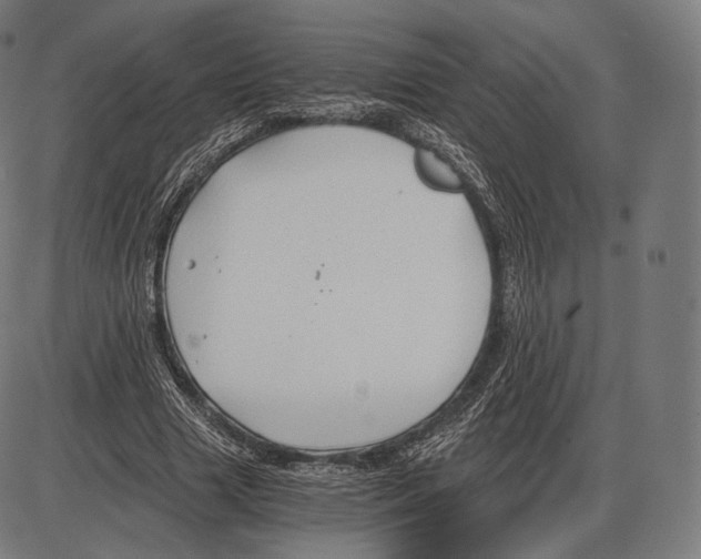 X0000084010633200703161715