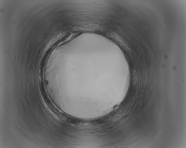 X0000084010634200703161715