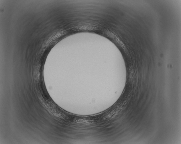 X0000084010635200703161715