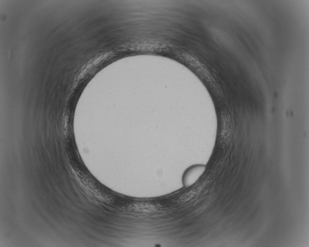 X0000084010636200703161715