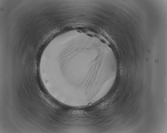 X0000084010637200703161715