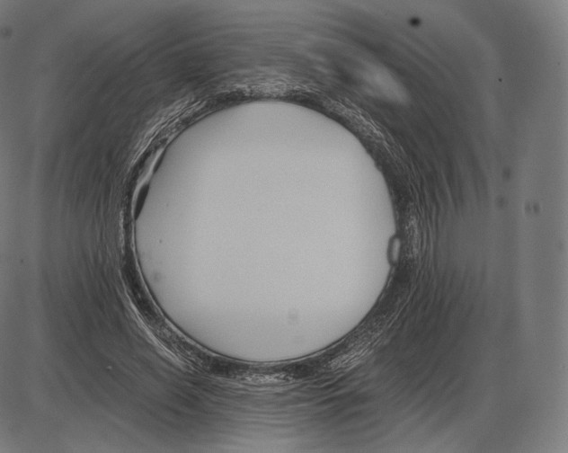 X0000084010638200703161715