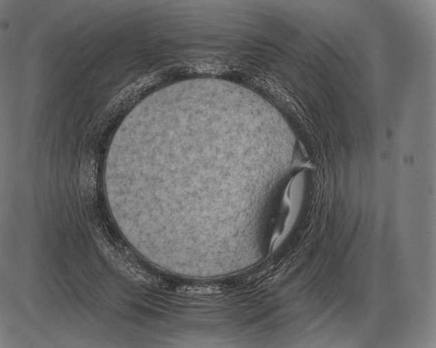 X0000084010639200703161715