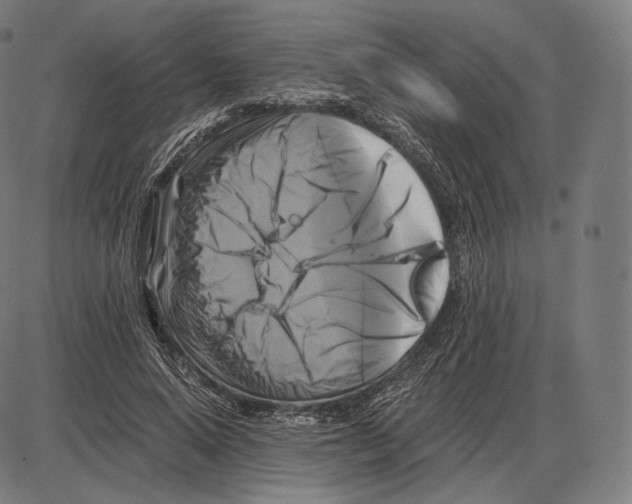 X0000084010640200703161715