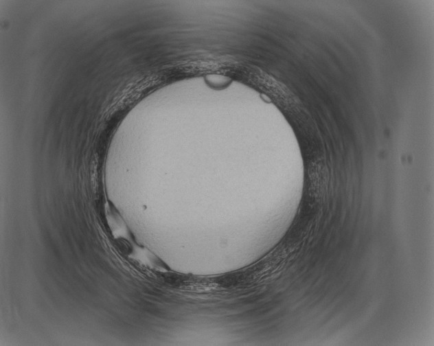 X0000084010642200703161715