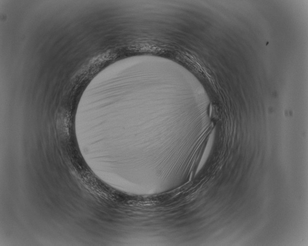 X0000084010643200703161715