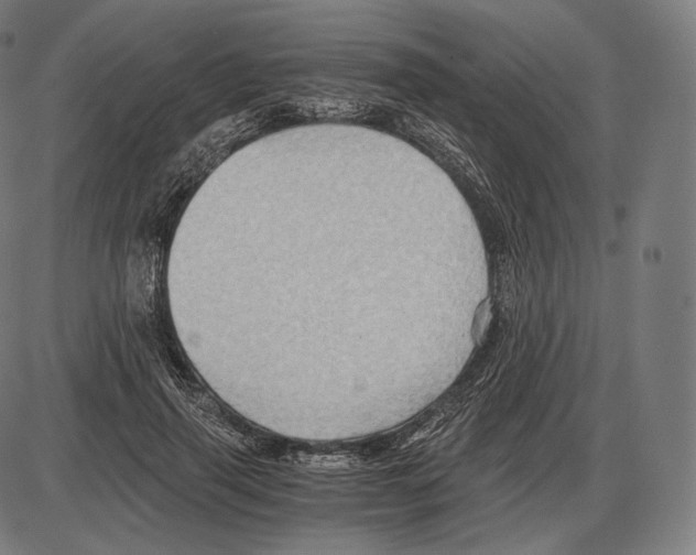 X0000084010645200703161715