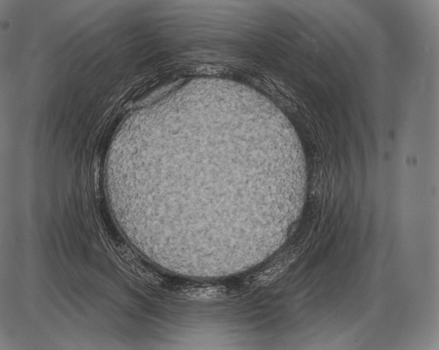 X0000084010646200703161715