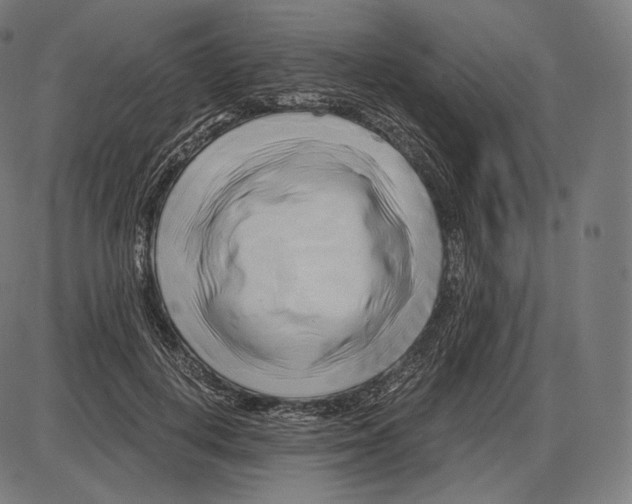 X0000084010648200703161715