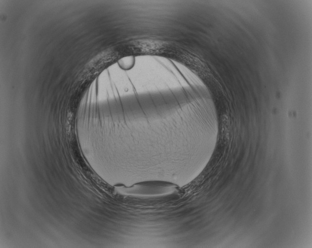 X0000084010650200703161715