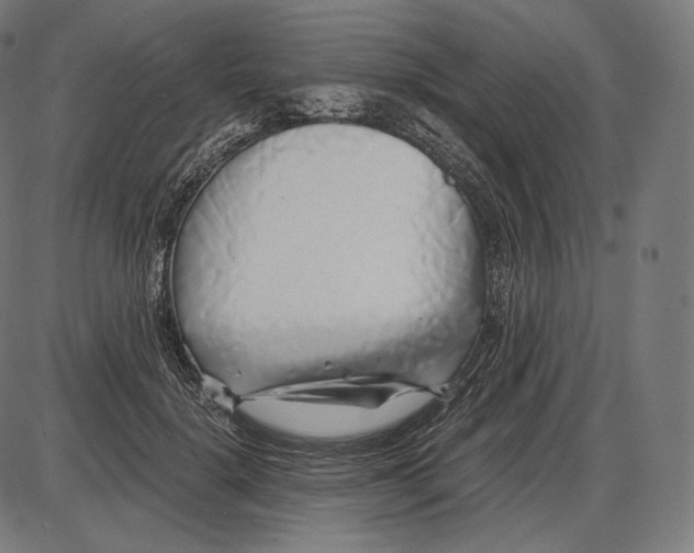 X0000084010652200703161715