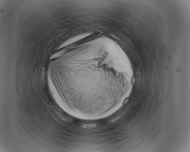 X0000084010653200703161715