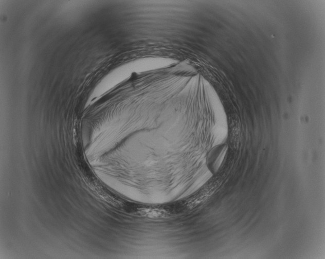 X0000084010654200703161715