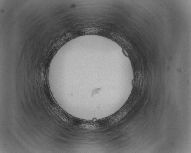 X0000084010655200703161715