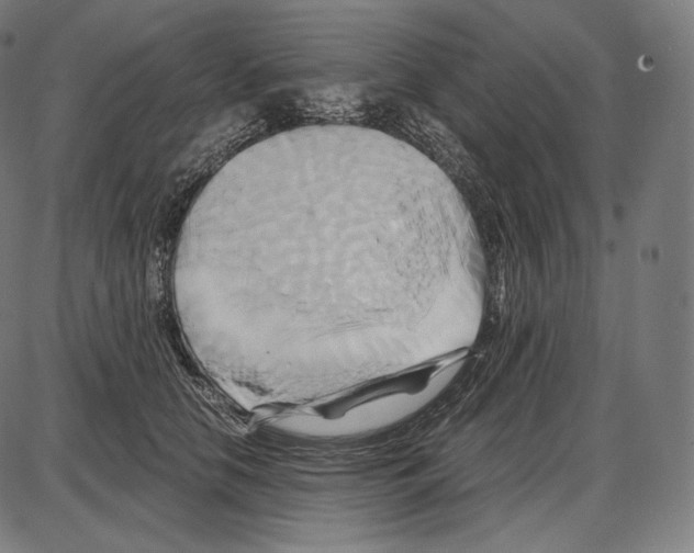 X0000084010658200703161715