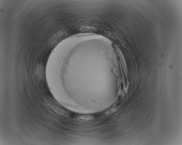 X0000084010659200703161715