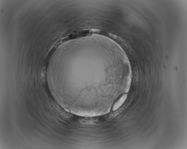 X0000084010661200703161715