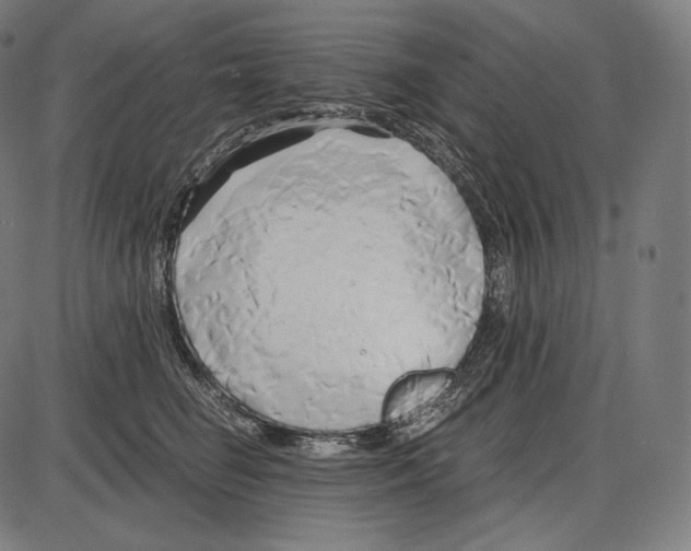 X0000084010662200703161715