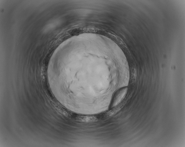 X0000084010663200703161715