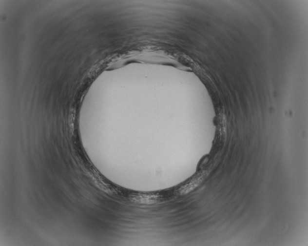 X0000084010664200703161715