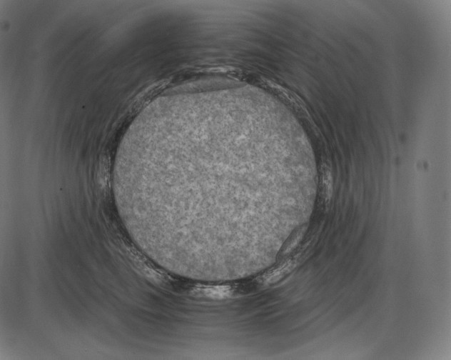 X0000084010665200703161715