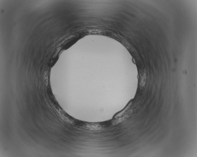 X0000084010666200703161715