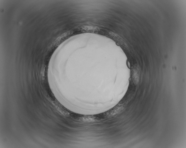 X0000084010668200703161715