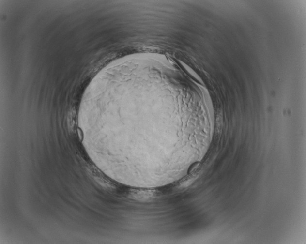 X0000084010671200703161715