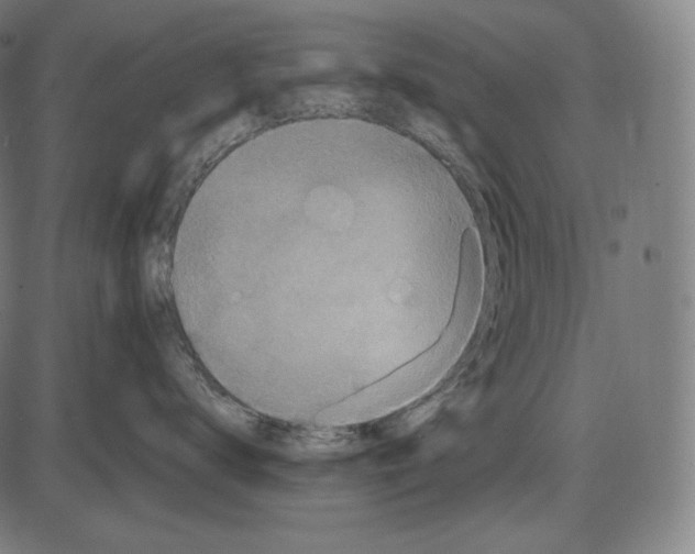 X0000084010672200703161715