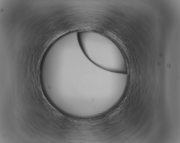 X0000084010673200703161714