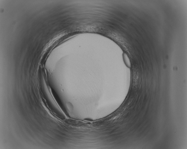 X0000084010674200703161714